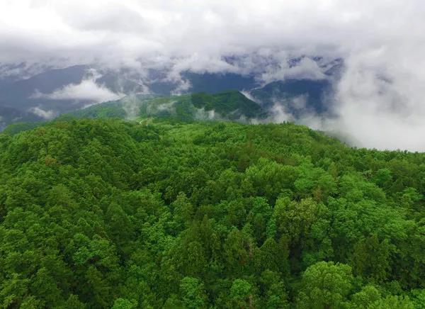 黑寶山